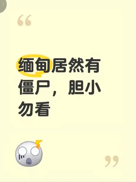 《缅甸僵尸出土事件》高清无删减视频在线播放 - 缅北神秘僵尸出土事件完整录像揭秘真相