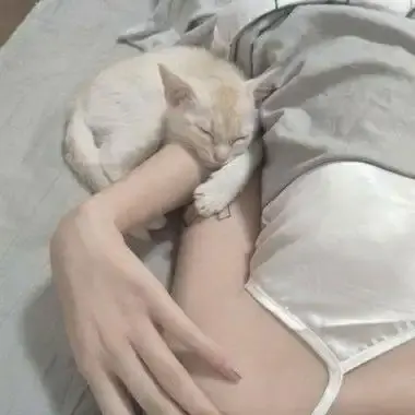 《森泽佳奈》高清全集未删减中文版免费在线观看 - 森泽佳奈1080P蓝光无水印网盘资源下载 - 无广告播放珍藏版